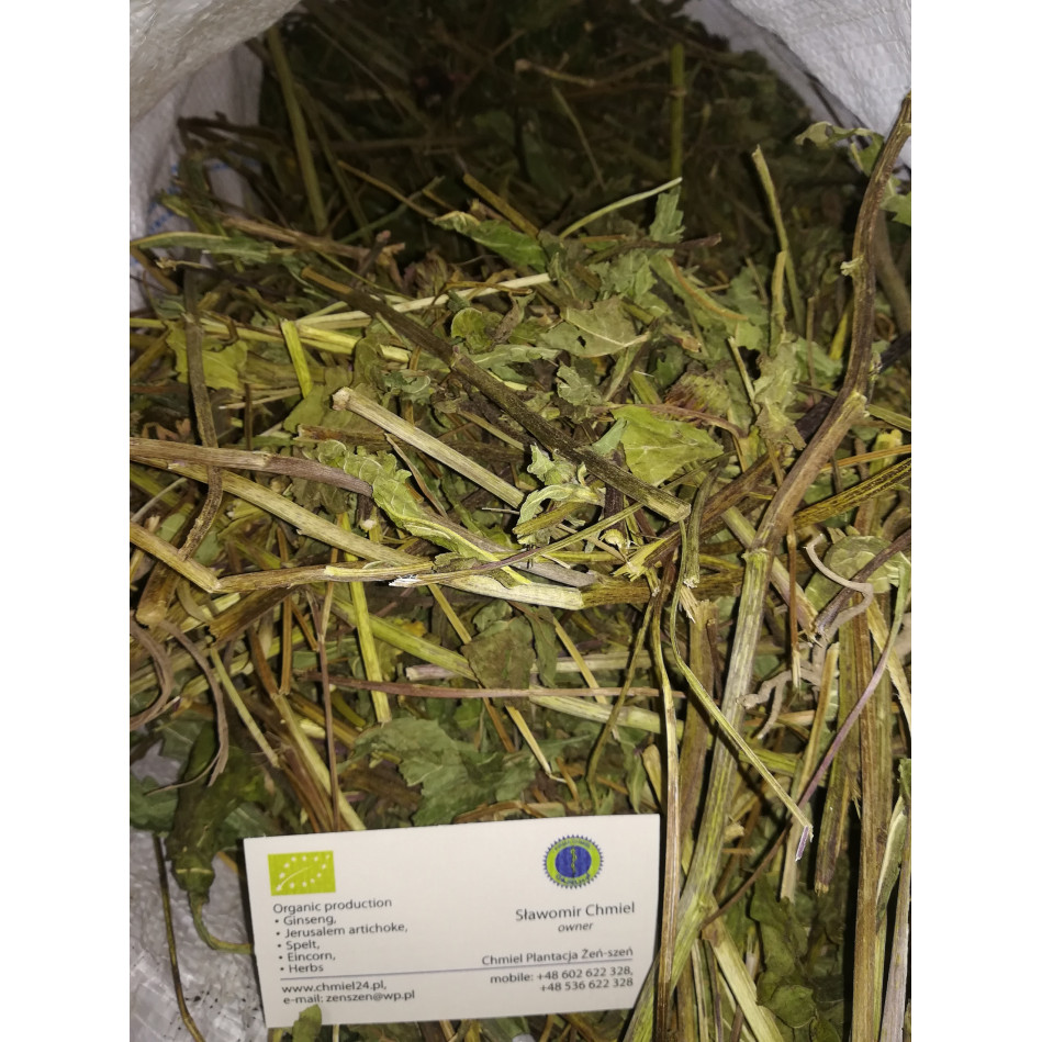 Jeżówka ziele całe eko z certyfikatem 1 kg