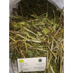 Jeżówka ziele całe eko z certyfikatem 1 kg