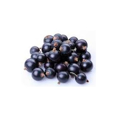 Owoc świezy  eko czarnej porzeczki 1 kg- produkt sezonowy